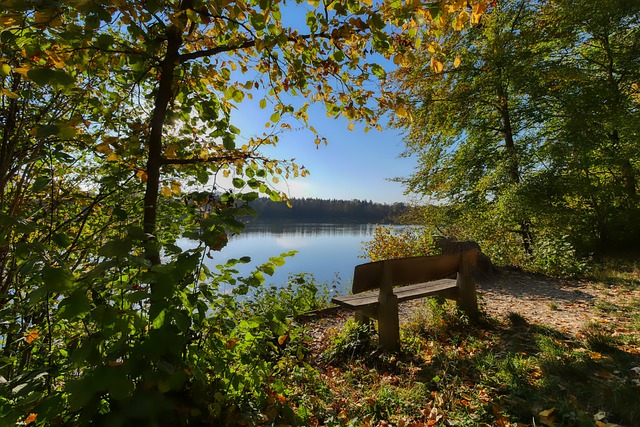 在即将到来 在即将到来
