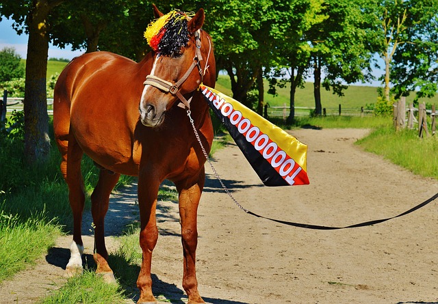 这名球员 这名球员