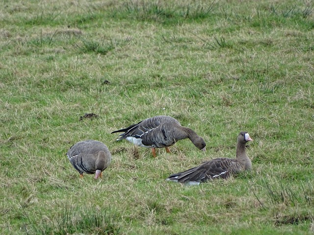 球队朝着成 球队朝着成