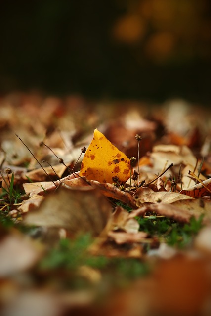 優秀球員不 優秀球員不