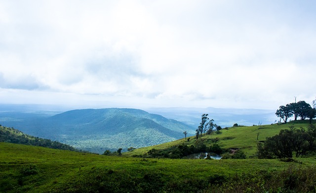 让皇马老化 让皇马老化