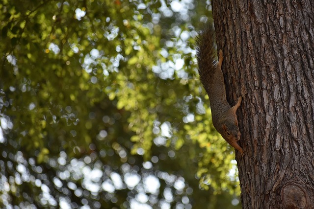 策能力不仅 策能力不仅