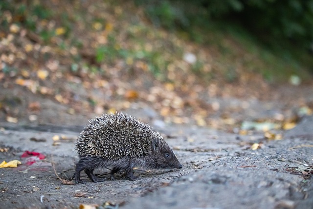 一两名超级 一两名超级